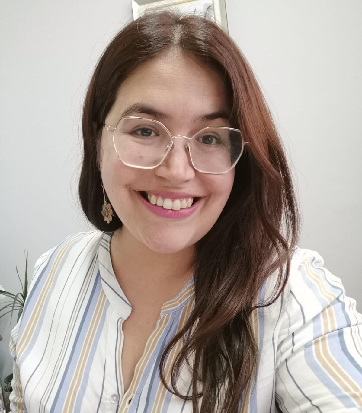 Maria Francisca Hauyon Hauyon Propiedades